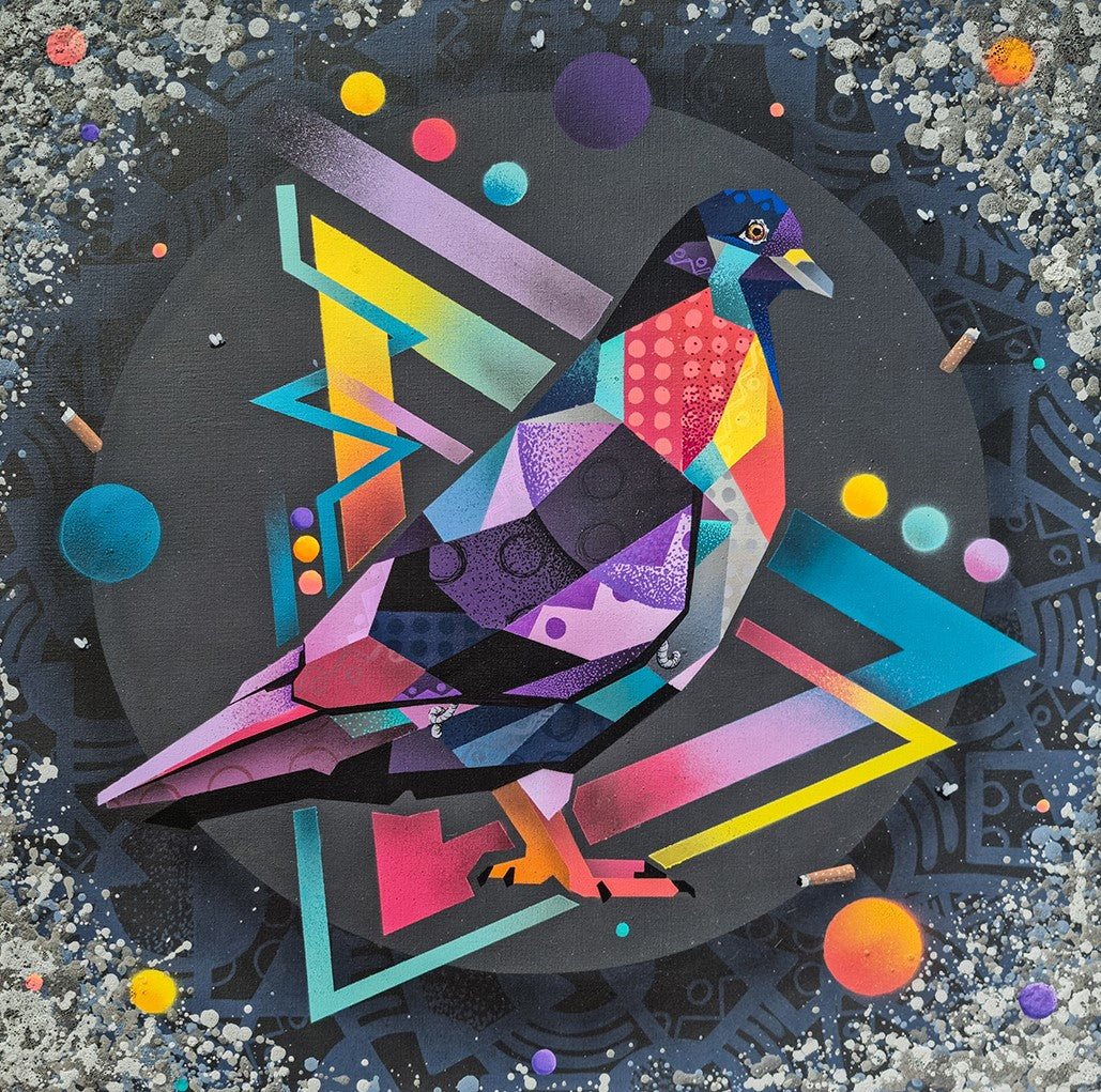 Pigeon - Tim Marsh
